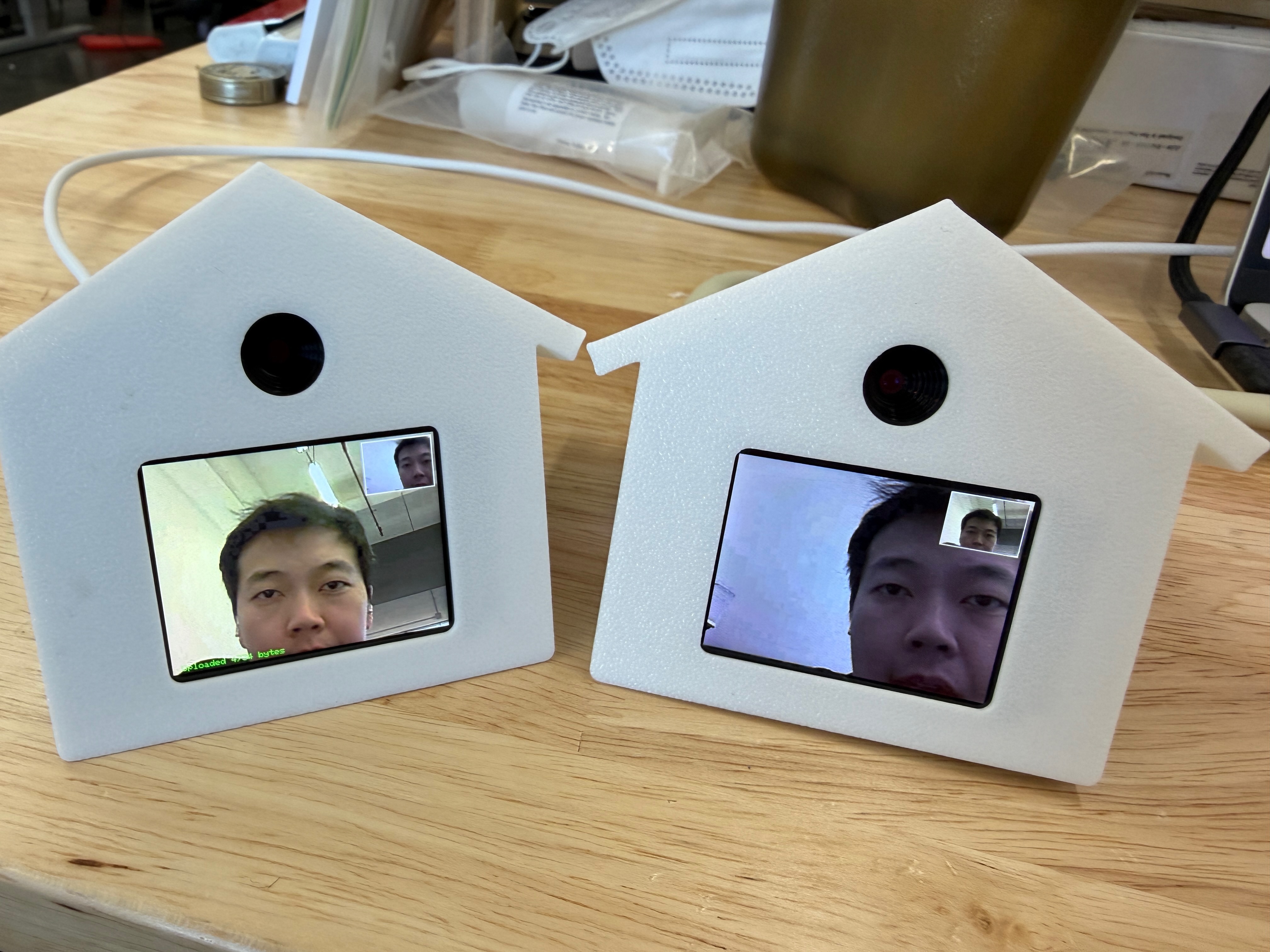 Two Birdhouses exchanging photos