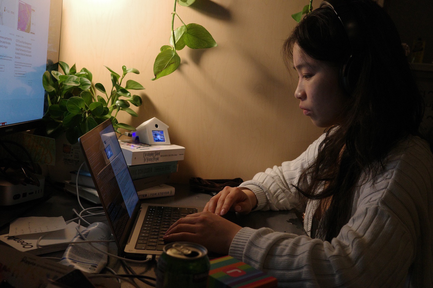 Person working at desk with Birdhouse nearby