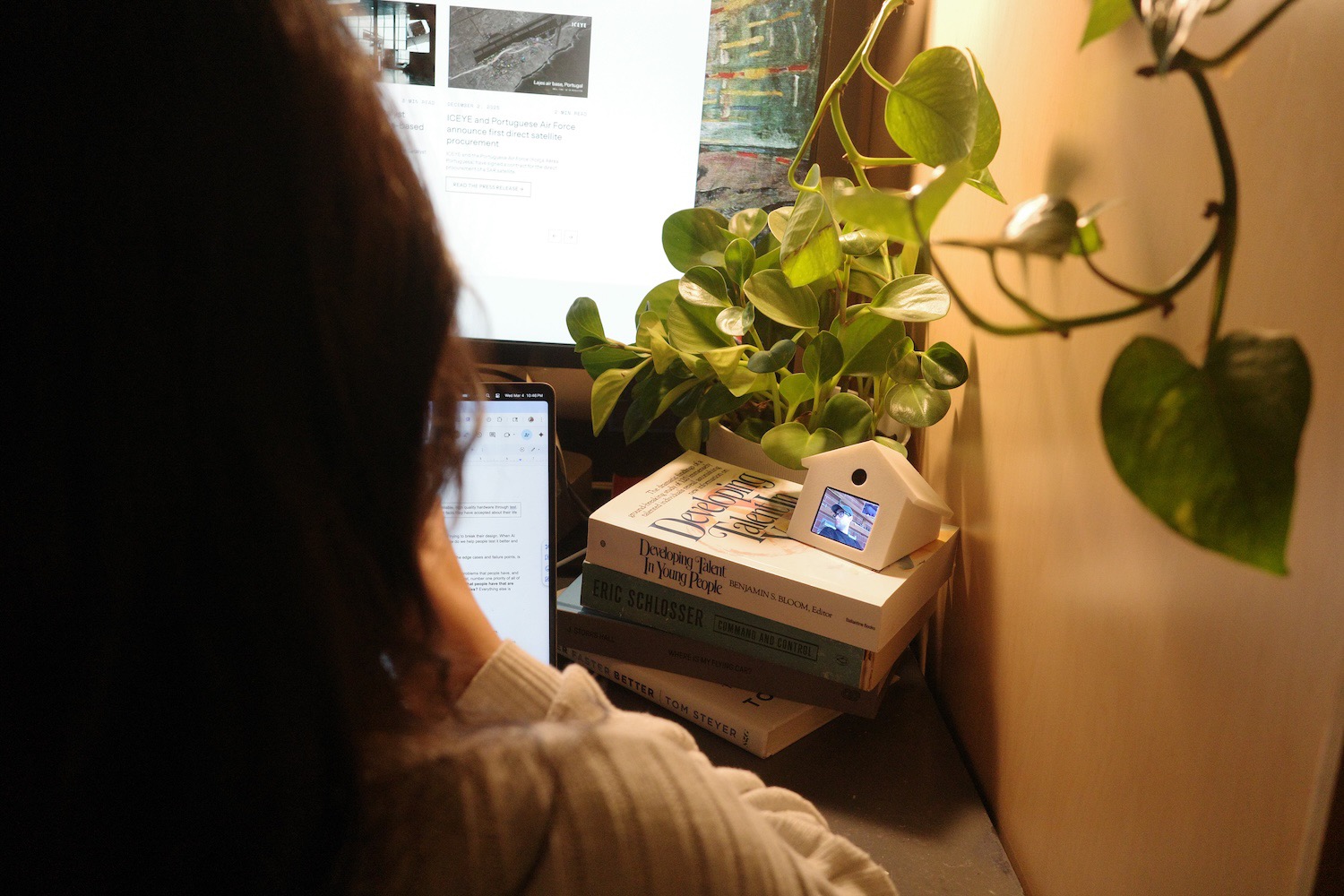 Person at desk with Birdhouse